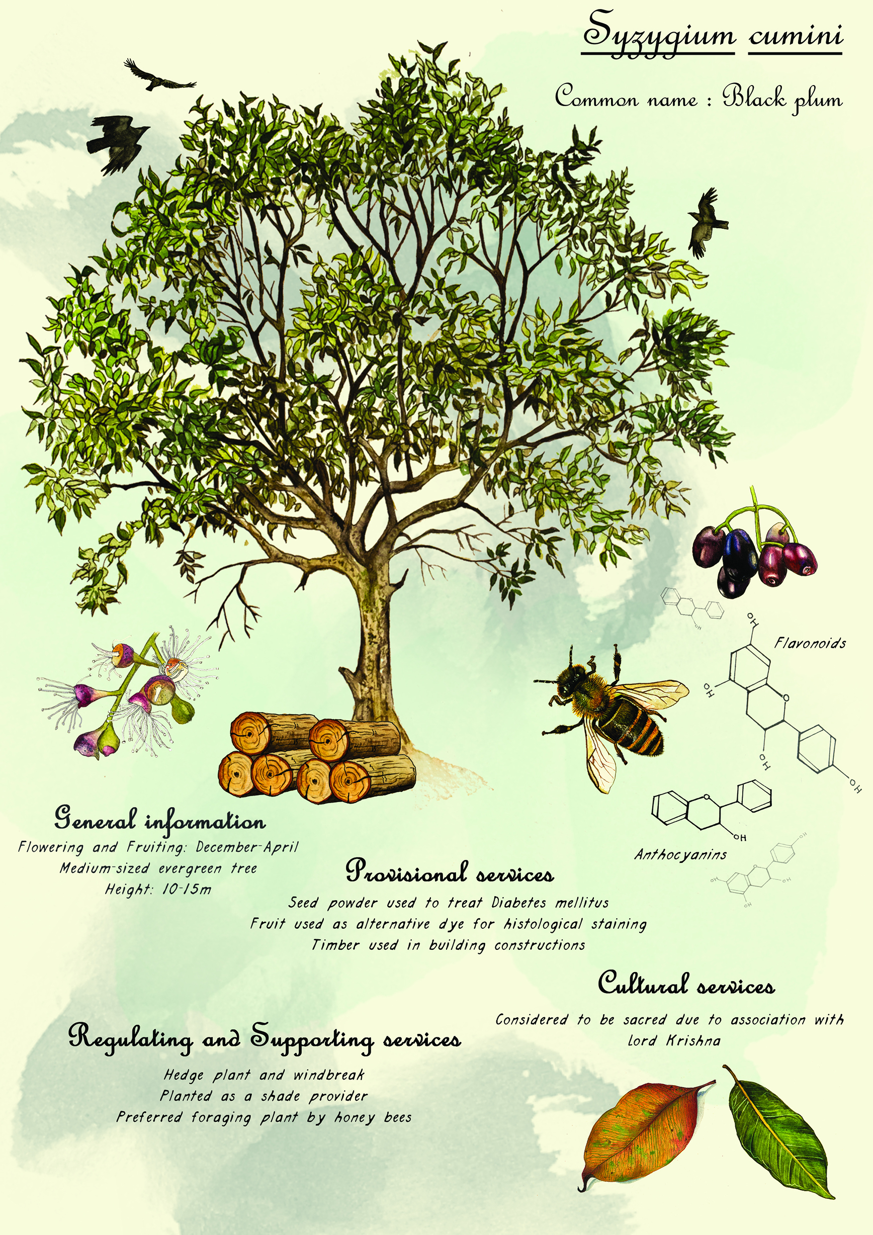 Biodiversity and Ecosystem Services Knowledge in the Colombian