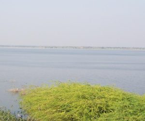 101_0016-e1711086538330