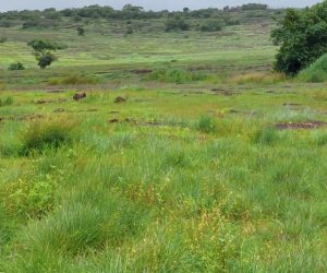 20220814_123714-scaled-e1662973057381