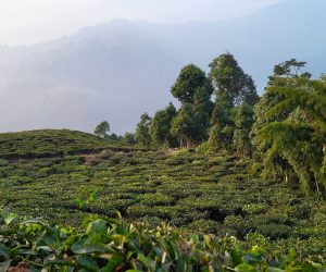 20240109_164043_1-scaled