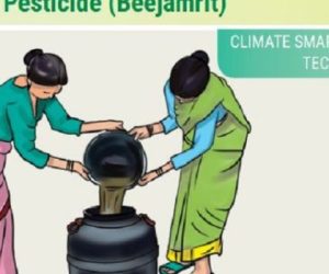 CDKN_article-750x350-1