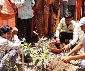 CapaCITIES-climate-week-e1688448432309