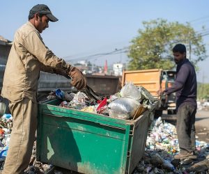 Garbage collector Garbage man working together on emptying dustbins for trash removal