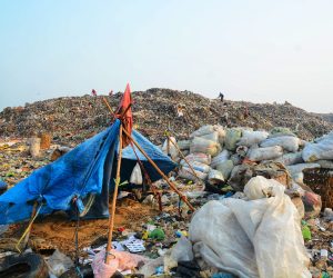 garbage-rock-by-sea-against-clear-sky
