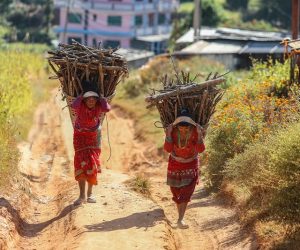 pexels-volker-meyer-3820222