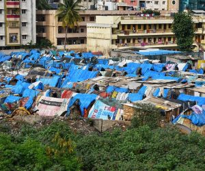 shutterstock_1238365336-2