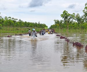 shutterstock_1460698928