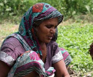 shutterstock_1520954306-min-scaled-e1685943697529